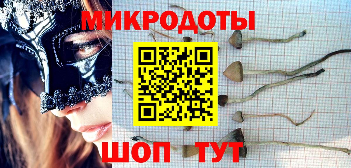 Псилоцибиновые грибы прущие грибы Кандалакша