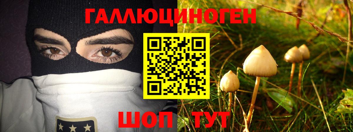 Галлюциногенные грибы Psilocybine cubensis  Псилоцибиновые грибы Psilocybe  Кандалакша  Вход с VPN 